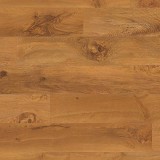 Van Gogh Rigid Core Plank
Wellington Oak